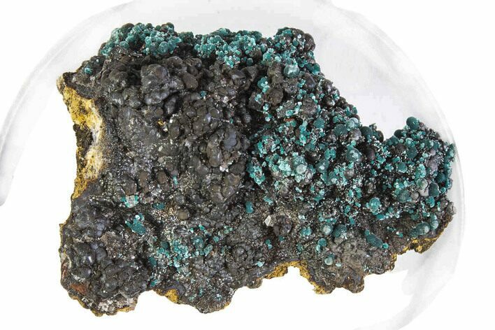 Teal Blue Rosasite on Goethite - Mexico #372781